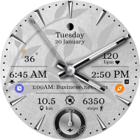 D370 Analog Watch Face